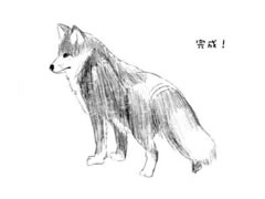 【动物素描】狐狸的素描画法步骤图示