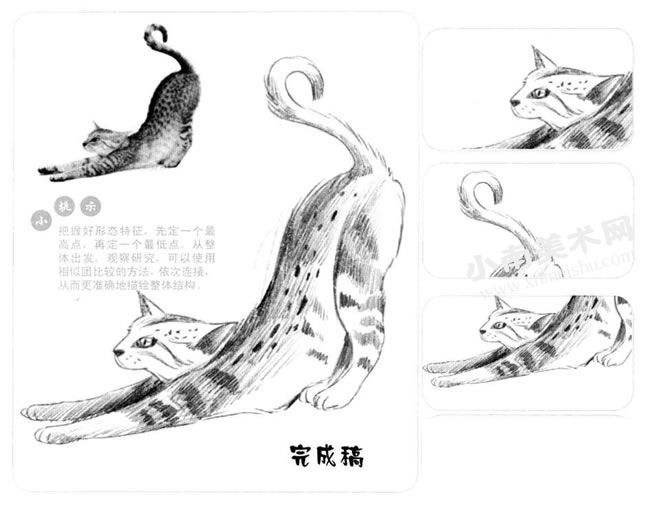埃及猫的素描画法步骤图示