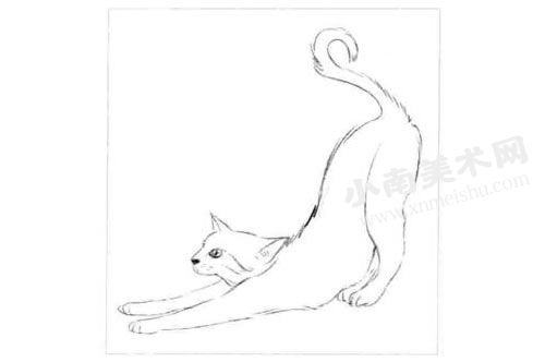 埃及猫的素描画法步骤图示01