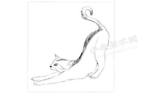 埃及猫的素描画法步骤图示02