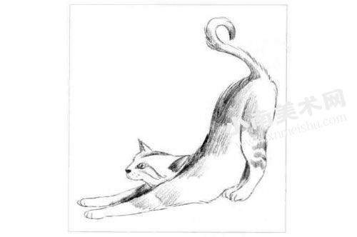 埃及猫的素描画法步骤图示03