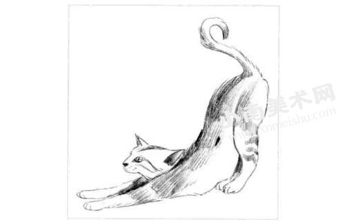 埃及猫的素描画法步骤图示04