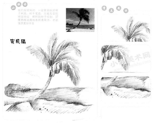 椰岛风情的素描画法步骤图示