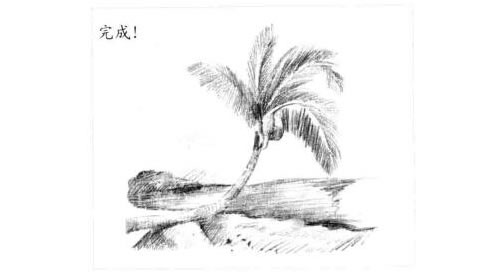 椰岛风情的素描画法步骤图示06