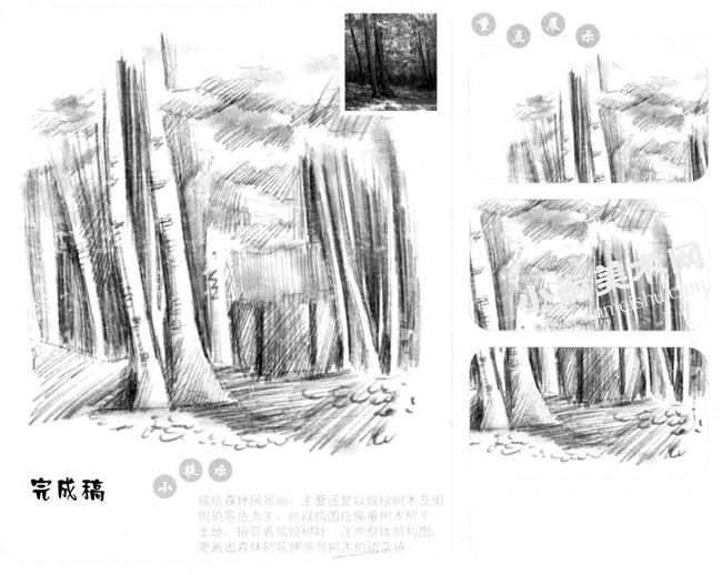 森林美景的素描画法步骤图示