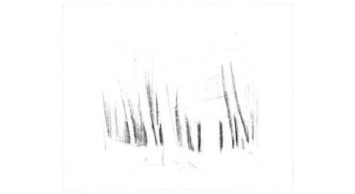 森林美景的素描画法步骤图示02
