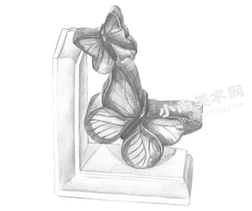蝴蝶雕塑的素描画法步骤图示03