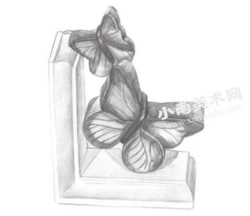 蝴蝶雕塑的素描画法步骤图示05