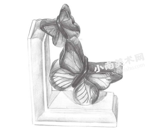 蝴蝶雕塑的素描画法步骤图示06