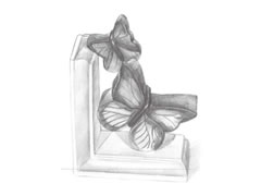 【单个静物】蝴蝶雕塑的素描画法步骤图示