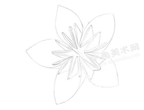 花卉折纸的素描画法步骤图示01