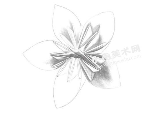 花卉折纸的素描画法步骤图示02