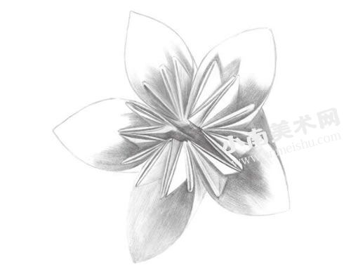 花卉折纸的素描画法步骤图示04
