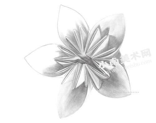 花卉折纸的素描画法步骤图示05