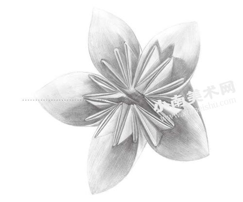 花卉折纸的素描画法步骤图示07