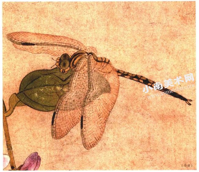 元代王渊《蜻蜓图》纸本古画局部