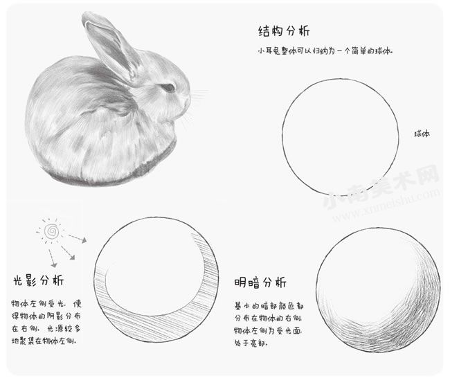小耳兔的素描绘制步骤图示