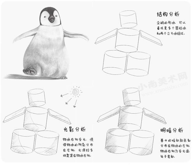 步行的企鹅素描绘制步骤图示