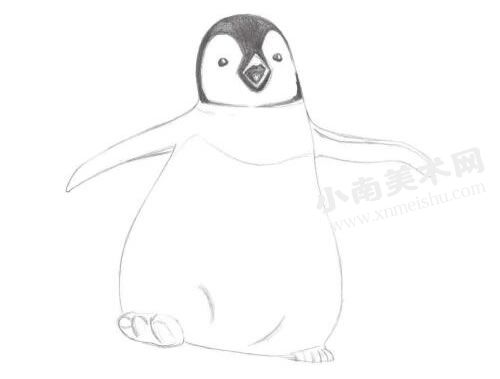 步行的企鹅素描绘制步骤图示02