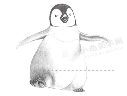 步行的企鹅素描绘制步骤图示05