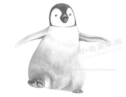 步行的企鹅素描绘制步骤图示06