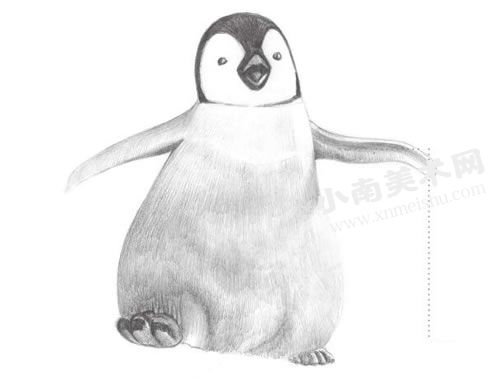 步行的企鹅素描绘制步骤图示08
