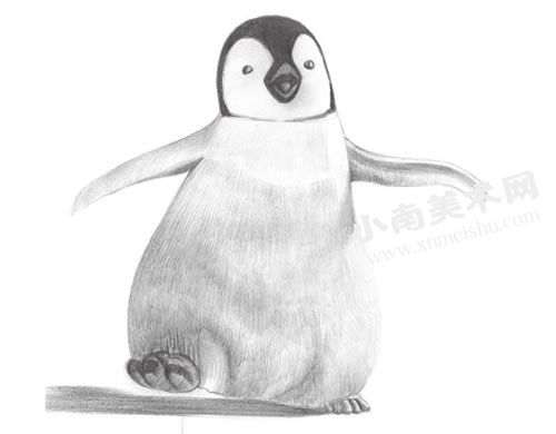 步行的企鹅素描绘制步骤图示09