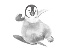 滑翔的企鹅素描绘制步骤图示