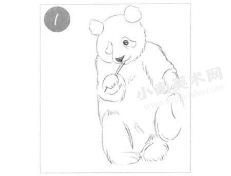 吃竹子的熊猫素描画法步骤图示01