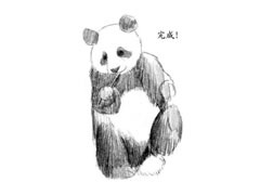 吃竹子的熊猫素描画法步骤图示