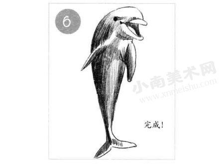 微笑的海豚素描画法步骤图示06