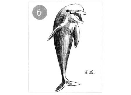 微笑的海豚素描画法步骤图示