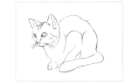 短尾猫的素描画法步骤图示01
