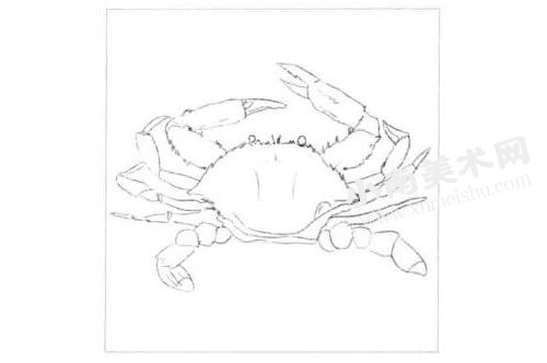 螃蟹的素描画法步骤图示01