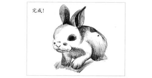 卖萌的熊猫兔素描画法步骤图示06