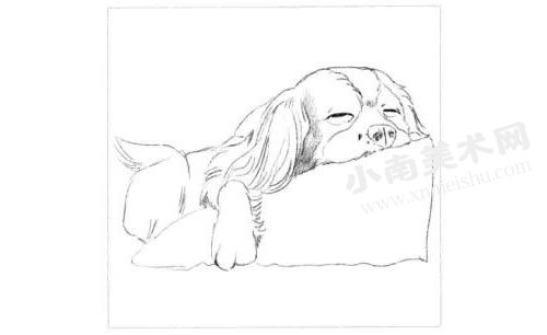 睡觉的狗狗素描画法步骤图示01