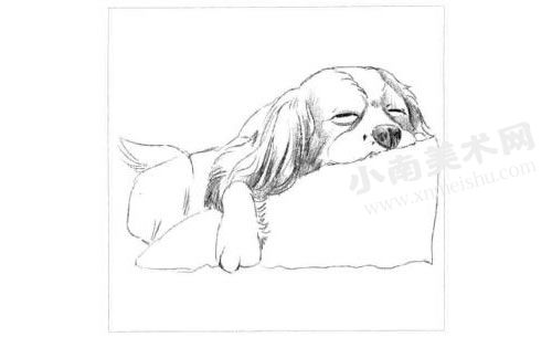 睡觉的狗狗素描画法步骤图示02