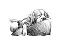 睡觉的狗狗素描画法步骤图示