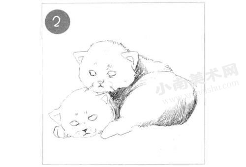 依偎在一起的猫咪素描画法步骤图示02