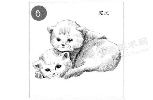 依偎在一起的猫咪素描画法步骤图示06