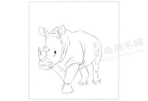 犀牛的素描画法步骤图示01
