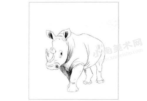 犀牛的素描画法步骤图示03