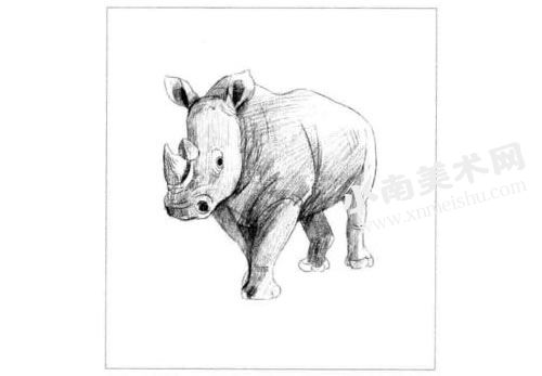 犀牛的素描画法步骤图示05