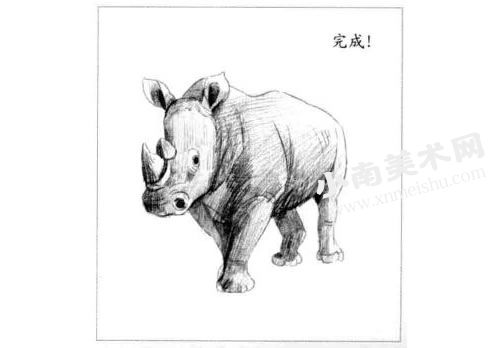 犀牛的素描画法步骤图示06