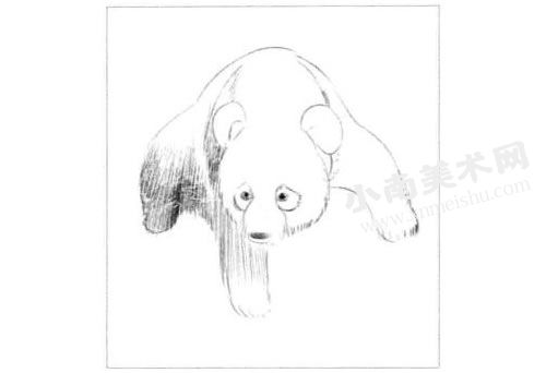 素描熊猫的步骤图示02