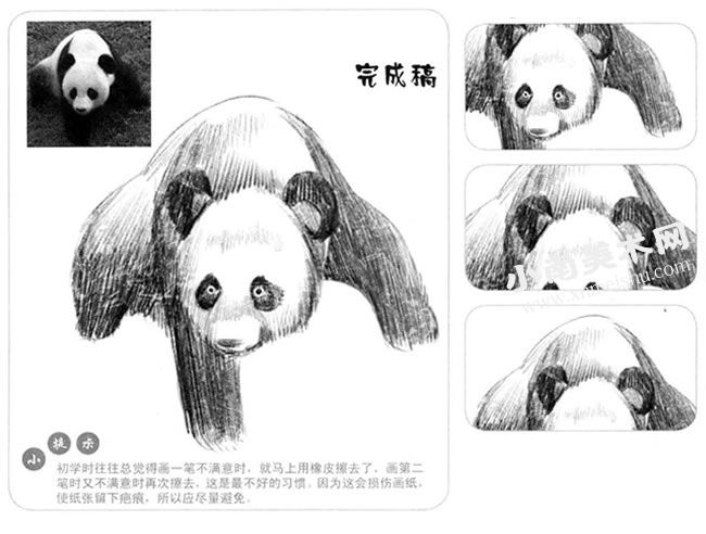 素描熊猫的步骤图示