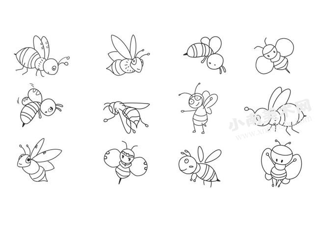 蜜蜂简笔画高清大图