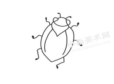 甲虫简笔画创作步骤图示03