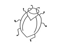 甲虫简笔画创作步骤（一）