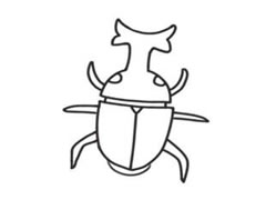 甲虫简笔画创作步骤（二）